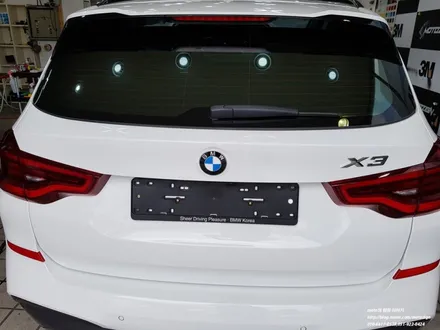 일산 BMW X3 신차에 꼭 필요한 PPF 생활보호패키지 / 고양 일산서구