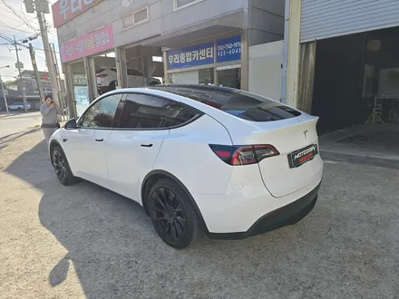 일산 덕이동 테슬라 Y 화이트색상으로 랩핑... / 고양 일산서구