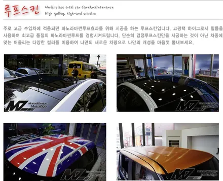 BMW 520D F10모델 루프스킨 + PPF생활보호패키지 / 고양 일산서구