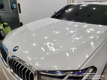 일산PPF BMW 530i 본넷 범퍼 헤드라이트 트렁크리드 PPF 시공 / 고양, 일산, 김포, 파주