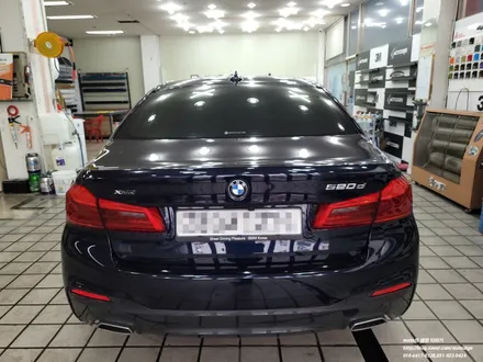 BMW 520D[G바디] 하이드로탑PPF 앞범퍼 + 헤드라이트 시공 / 고양 일산서구