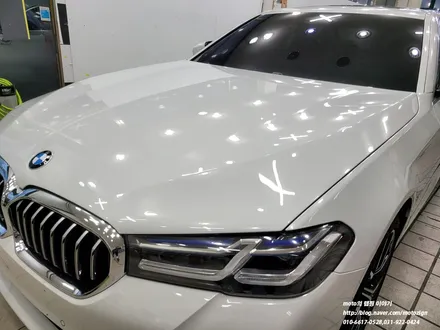 일산PPF BMW 530i 본넷 범퍼 헤드라이트 트렁크리드 PPF 시공 / 고양, 일산, 김포, 파주