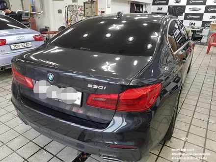 일산PPF-BMW 530I PPF 스피드패키지 / 고양 일산서구