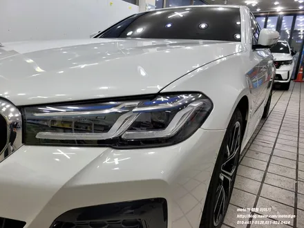 일산PPF BMW 530i 본넷 범퍼 헤드라이트 트렁크리드 PPF 시공 / 고양, 일산, 김포, 파주