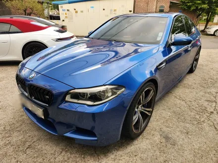 BMW F10 M5 라이트 필름 시공했습니다 / 고양 일산서구