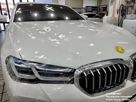 일산PPF BMW 530i 본넷 범퍼 헤드라이트 트렁크리드 PPF 시공 / 고양, 일산, 김포, 파주