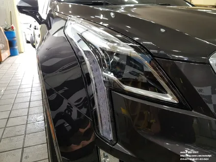 일산 캐딜락 XT5 PPF 생활보호패키지 / 고양 일산서구