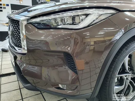 인피니티 QX50 앞범퍼 PPF+생활보호패키지 5종 시공-일산PPF랩핑전문샾모토자인 / 고양 일산서구