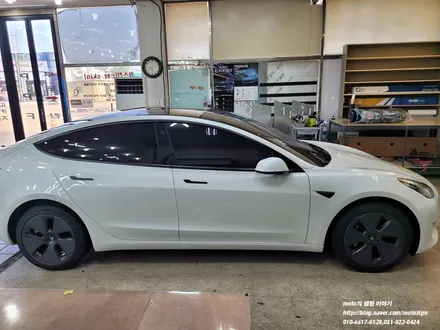 테슬라모델3 [3M] M206 - Matte Pine Green Metallic, 2080 무광 파인그린 메탈릭 전체랩핑[일산 파주 운정 고양 김포 PPF 랩핑 전문점 모토자인] / 고양, 일산, 김포, 파주