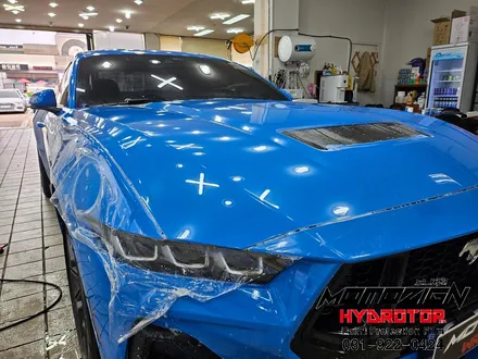 머스탱 GT 하이드로탑PPF 전체시공으로 도장면 보호하기 일산PPF 랩핑 전문점 모토자인 / 고양, 일산, 김포, 파주