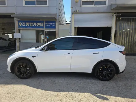 일산 덕이동 테슬라 Y 화이트색상으로 랩핑... / 고양 일산서구