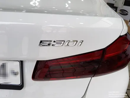 BMW 530i 라이트필름 / 고양 일산서구
