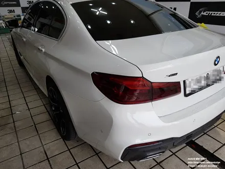BMW 530i 라이트필름 / 고양 일산서구