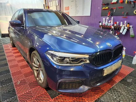 일산 덕이동 BMW 그릴 맛집 / 고양 일산서구