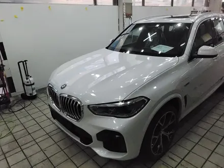 BMW X5 본넷PPF를 하면 스톤칩을 보호해줍니다.[일산파주운정고양PPF 랩핑 전문샾 모토자인] / 고양, 일산, 김포, 파주