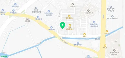 일산 BMW 530i PPF라이터+트렁크리드 / 고양 일산서구