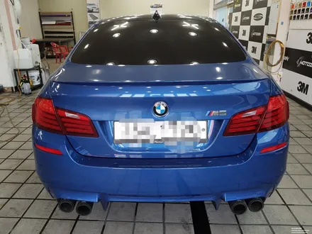 BMW M5 앞밤퍼 PPF 자동차 보호필름 #일산파주문산김포운정PPF전문샾모토자인 / 고양 일산서구