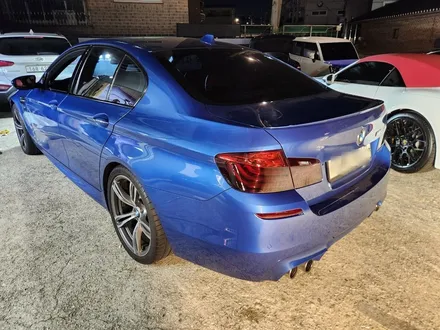 BMW F10 M5 라이트 필름 시공했습니다 / 고양 일산서구