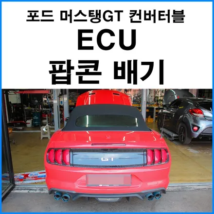 [포드 머스탱GT 5.0 컨버터블] ECU 팝콘맵 배기 사운드 / 부산 ECU맵핑 + 데이터맵 / 부산 기장군