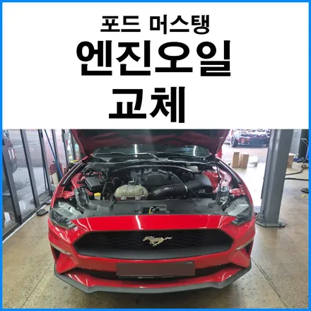 [포드 머스탱 2.3] 패트로나스 엔진오일 교체 / 부산 기장군