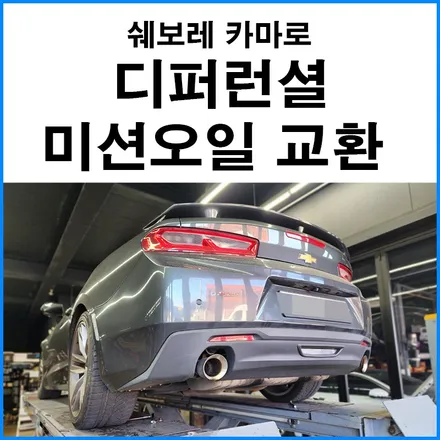 [쉐보레 카마로] 디퍼런셜 오일 미션 오일 교체 / 부산 국산차 수입차 오일 교환 / 부산 기장군