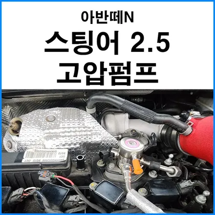 [아반떼N] 스팅어 2.5 터보 고압 펌프 이식 개조 / 부산 기장군