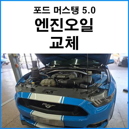 [포드 머스탱 5.0] 모튤 5W30 엔진오일 교체 / 부산 기장군