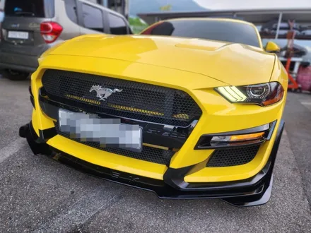 [포드 머스탱 2.3 에코 부스트] 쉘비 GT500 룩 바디킷 + 가변배기 튜닝 / 부산 기장군