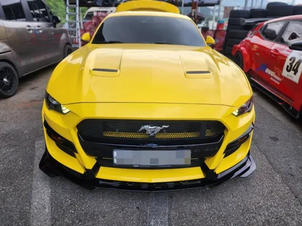 [포드 머스탱 2.3 에코 부스트] 쉘비 GT500 룩 바디킷 + 가변배기 튜닝 / 부산 기장군