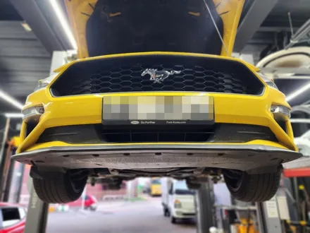 [포드 머스탱 2.3 에코 부스트] 쉘비 GT500 룩 바디킷 + 가변배기 튜닝 / 부산 기장군