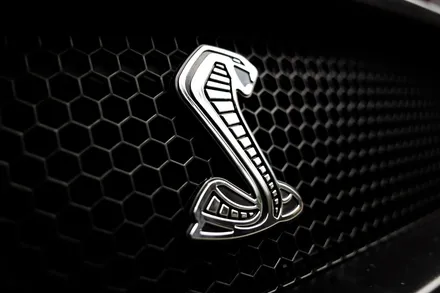 [포드 머스탱 2.3T 에코 부스트] 쉘비 GT500 스타일 바디킷 + 캘리퍼 도색 + 커스텀 가변 배기 / 포드 / 머스탱 / 부산 기장군
