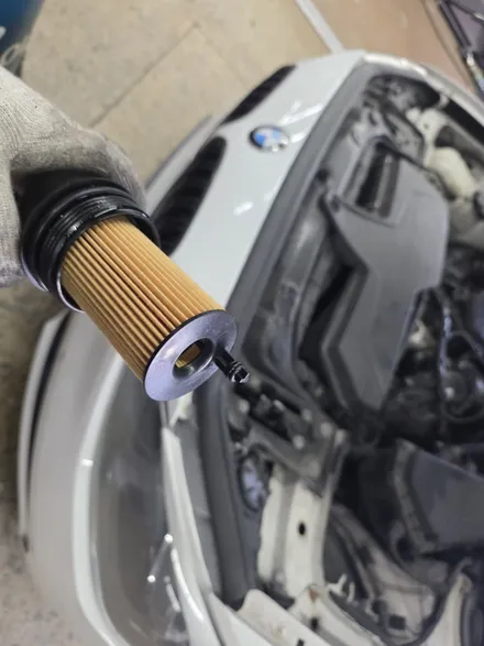 [BMW 118d] 모튤 5W30 엔진오일 교체 / 부산 기장군