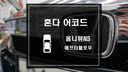 주차 충돌사고 예방 안전 옵션 옴니뷰NS 혼다 어코드 차량에 어라운드뷰 시스템  작업과 애프터블로우 / 서울 서초, 반포, 강남