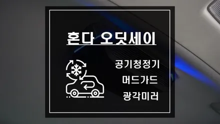 혼다 오딧세이 차량용 공기청정기 스플래시가드 머드가드와 운전석 광각미러 작업 / 서울 서초, 반포, 강남