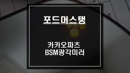 포드 머스탱 차량 사각지대 탈출을위한 필수 옵션! 카카오파츠 BSM광각미러 출시. / 서울 서초, 반포, 강남