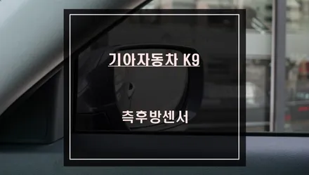후측방 경고 충돌방지 보조 시스템! 기아자동차K9차량 안전옵션 측후방센서 시공. / 서울 서초, 반포, 강남