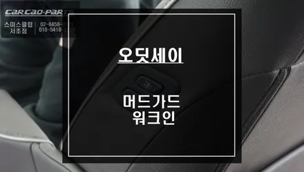 2021년 오딧세이 신차출고시 머드가드 시공과 편의옵션 워크인 스위치 시공. / 서울 서초, 반포, 강남