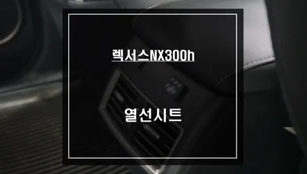 렉서스NX300h차량 겨울철 필수 편의옵션! 뒷자리 6단 열선시트 시공. / 서울 서초, 반포, 강남
