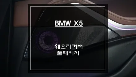 BMW X5 실내 튜닝 끝판왕! 회오리 트위터 + 엠비언트 풀세트 후기 / 서초구 서초동