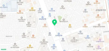 하늘에서 내 차량 사각지대를 한눈에 파악할 수 있는 맥스크루즈 360도 옴니뷰 순정연동장착. / 서초구 서초동
