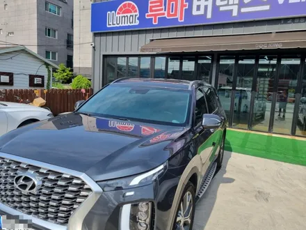 팰리세이드 루마버텍스 650 / 울산 북구