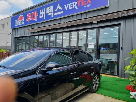 검정색 차에도 잘  어울려요.블락포디 / 울산 북구