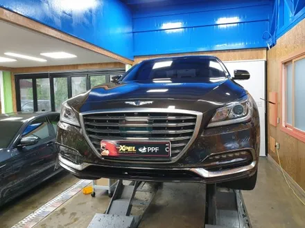 제네시스 G80 엑스펠 전체 PPF 시공 / 제주 월평