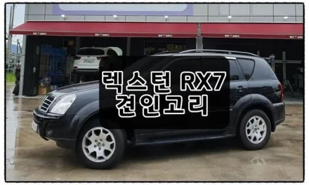 [첨단타이어] 벤츠S560 20인치 마이바흐휠복원- / 전주