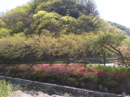 [첨단타이어]아반떼 AD 순정15인치->18인치 인치업(에보휠+중고타이어조합)전주휠복원,정읍휠복원 익산휠복원, 김제휠복원, 군산휠복원,남원휠,광주휠,충북휠,전남순천휠,대전휠,충북휠 / 전주
