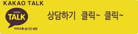 신형 풀체인지 카니발 KA4 신차페키지 안내 / 서울 은평구 역촌동
