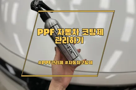 ppf 자동차 코팅제로 관리하기 / 경기 안성 원곡
