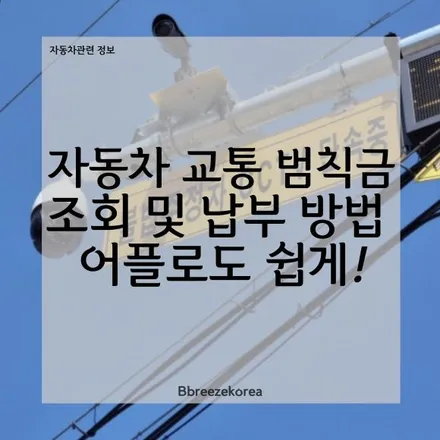 자동차 교통 범칙금 조회 및 납부 방법 어플로 쉽게 알아봐요 / 경기 안성 원곡