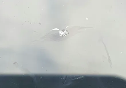 대전 테슬라 모델y 윈드쉴드 시공,전면유리깨짐 미리 보호해요. / 안성, 평택, 오산