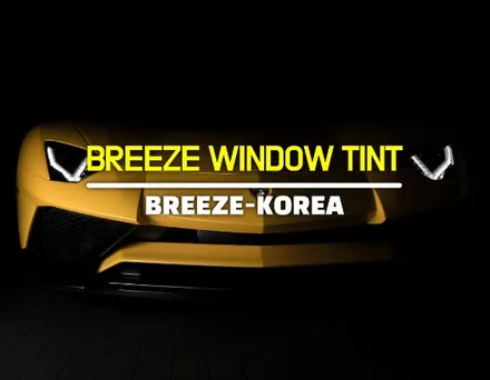 자동차 썬팅 필름, 저렴한 가격으로? / 경기 안성 원곡